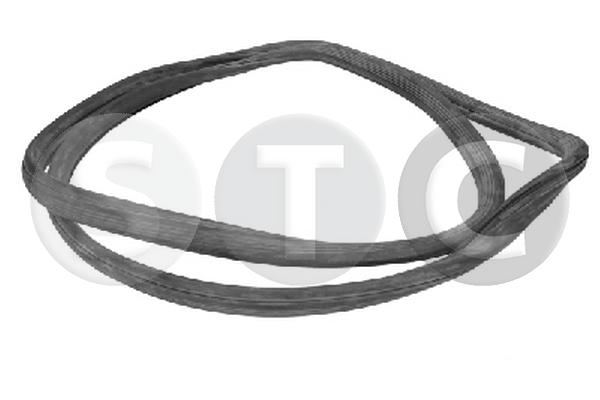 Guarnizione, parabrezza STC T442829