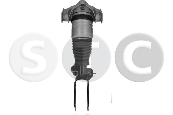 Gamba elastica con ammortiz. pneumatico STC T442916