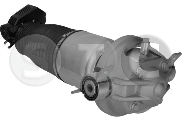 Gamba elastica con ammortiz. pneumatico STC T442918