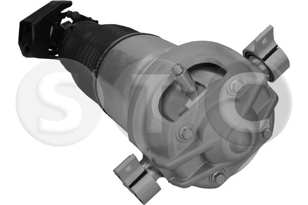 Gamba elastica con ammortiz. pneumatico STC T442919