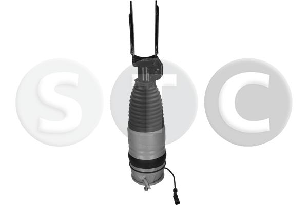 Gamba elastica con ammortiz. pneumatico STC T442926