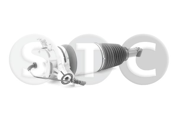 Gamba elastica con ammortiz. pneumatico STC T442927