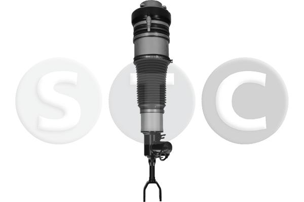 Gamba elastica con ammortiz. pneumatico STC T442981