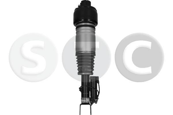Gamba elastica con ammortiz. pneumatico STC T442986