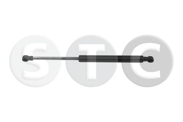 Ammortizzatore pneumatico, cofano motore STC T446157