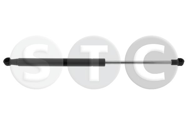 Ammortizzatore pneumatico, cofano motore STC T446212