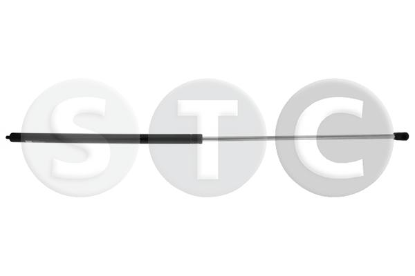 Ammortizzatore pneumatico, cofano motore STC T446271