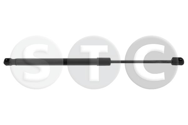 Ammortizzatore pneumatico, cofano motore STC T446463