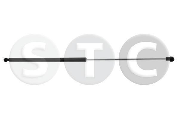 Ammortizzatore pneumatico, cofano motore STC T446491