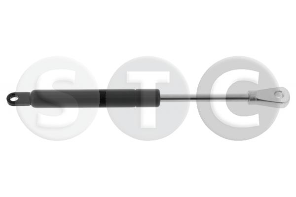 Ammortizzatore pneumatico, cofano motore STC T446569