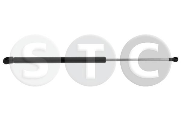 Ammortizzatore pneumatico, cofano motore STC T446587