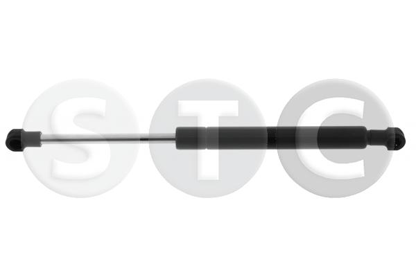 Ammortizzatore pneumatico, cofano motore STC T446589