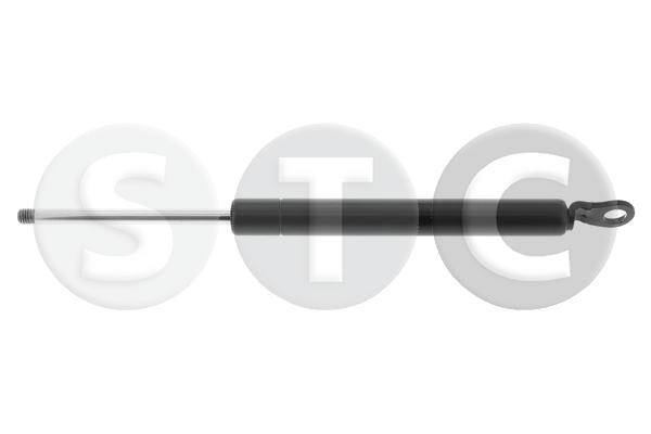 Ammortizzatore pneumatico,lunotto posteriore STC T446805