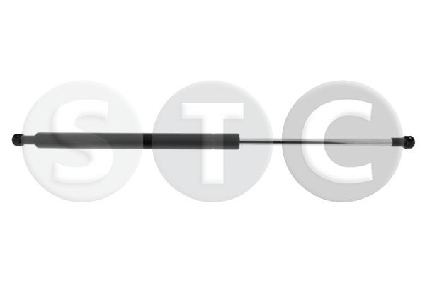 Ammortizzatore pneumatico, cofano motore STC T446866