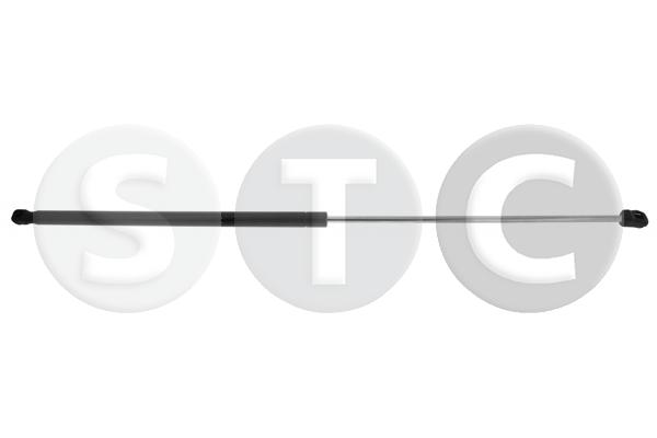 Ammortizzatore pneumatico, cofano motore STC T446870