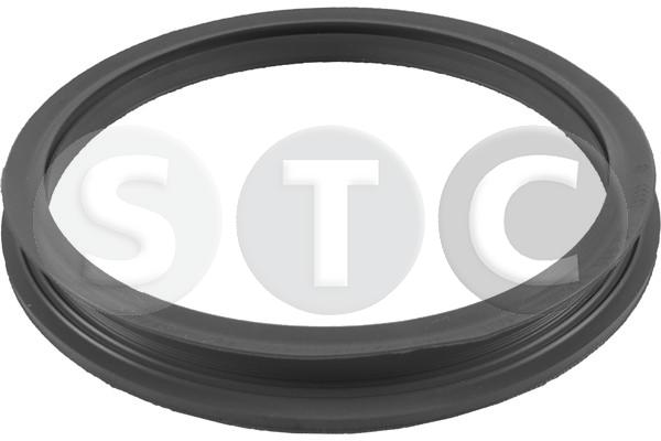 Guarnizione, bocchettone riempim. carburante STC T447603