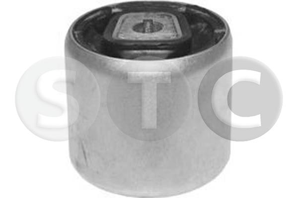 Supporto, braccio oscillante STC T452611