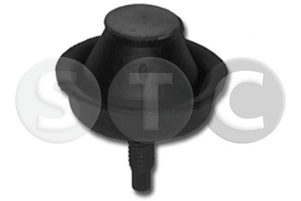 Sospensione, motore STC T454025