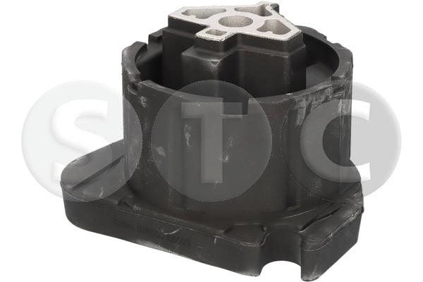 Supporto, cambio automatico STC T454972