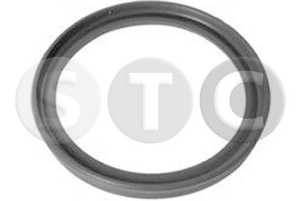 Anello tenuta, flessibile aria alimentazione STC T479284