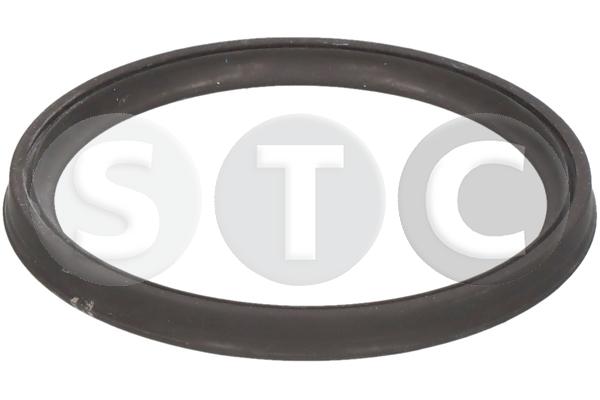 Anello tenuta, flessibile aria alimentazione STC T479631
