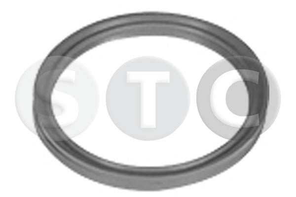 Anello tenuta, flessibile aria alimentazione STC T498720