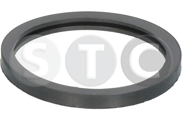 Guarnizione, termostato STC T402356