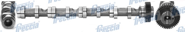 Albero a camme FRECCIA CM05-2195