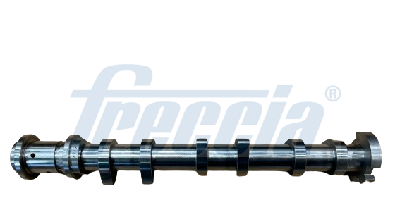 Albero a camme FRECCIA CM05-2422