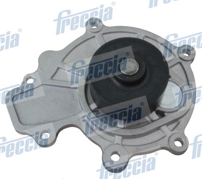 Pompa acqua FRECCIA WP0161