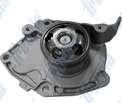 Pompa acqua FRECCIA WP0300