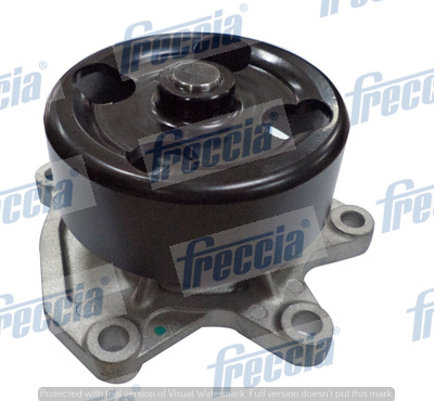 Pompa acqua FRECCIA WP0508