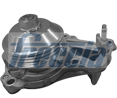 Pompa acqua FRECCIA WP0600