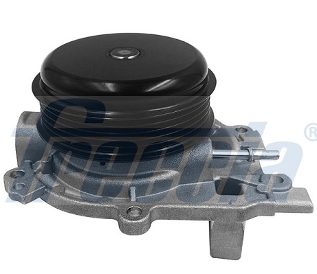 Pompa acqua FRECCIA WP0620