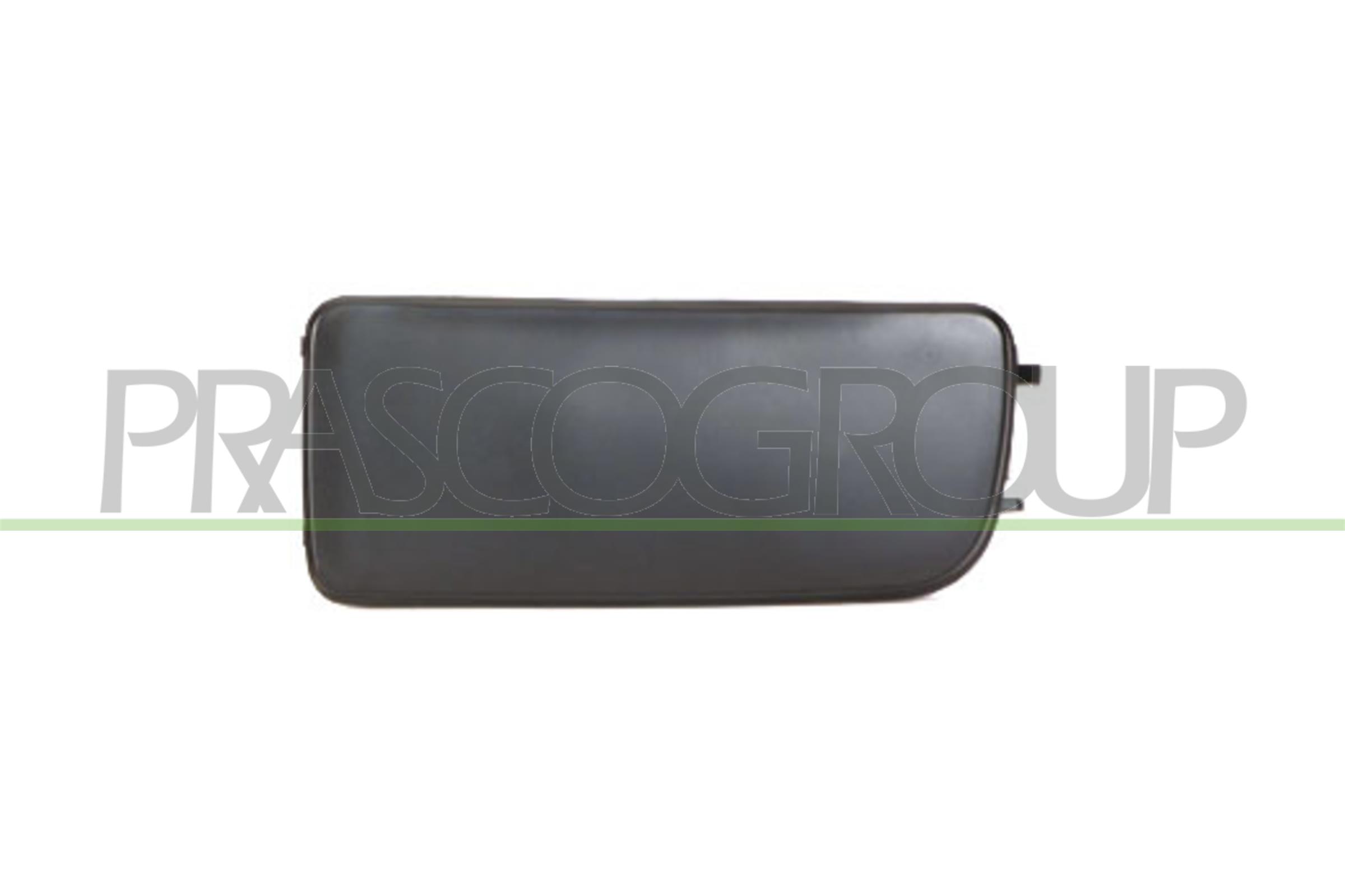 TAPPO COPRIFENDI SINISTRO NERO  -  MOD. > 09/1996
