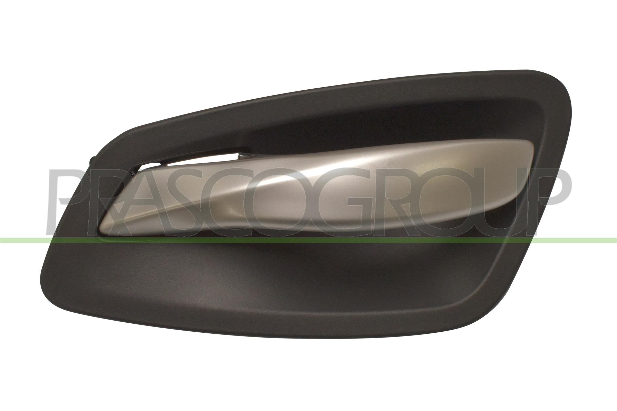 Maniglia portiera, equipaggiamento interno PRASCO BM0248401