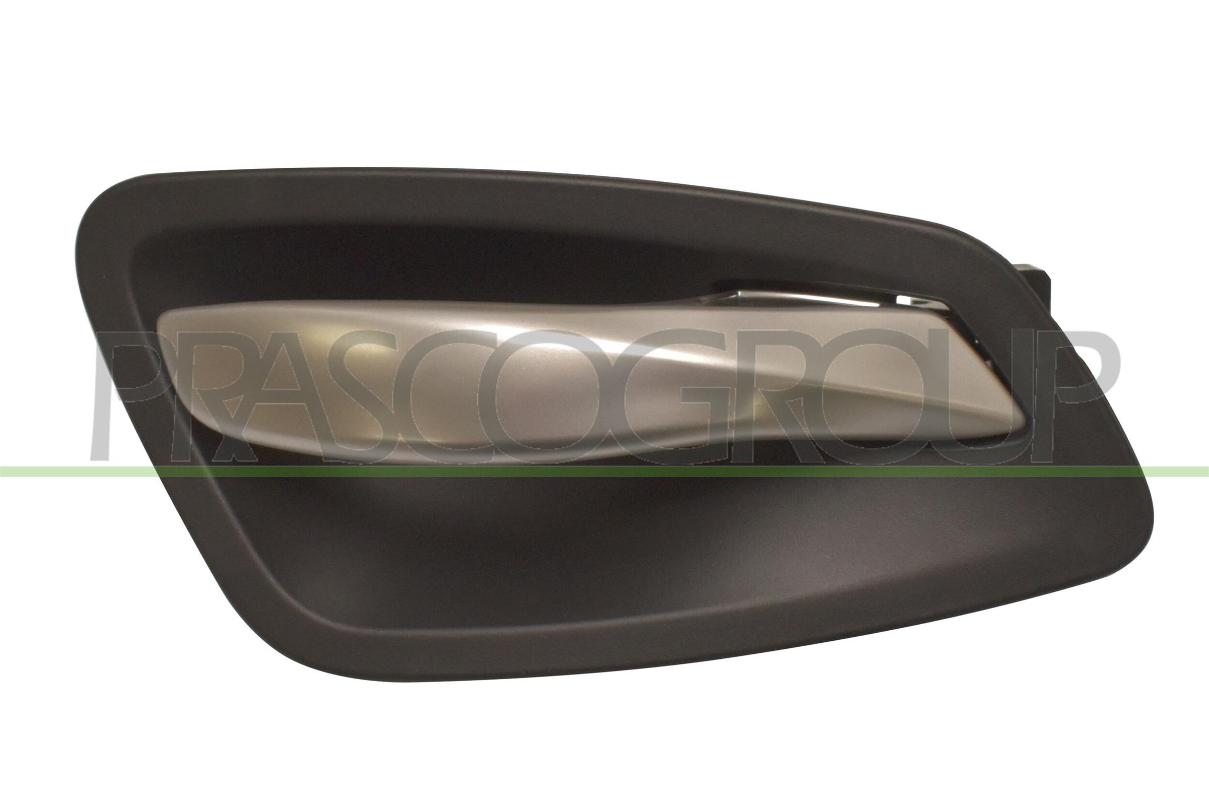 Maniglia portiera, equipaggiamento interno PRASCO BM0248402
