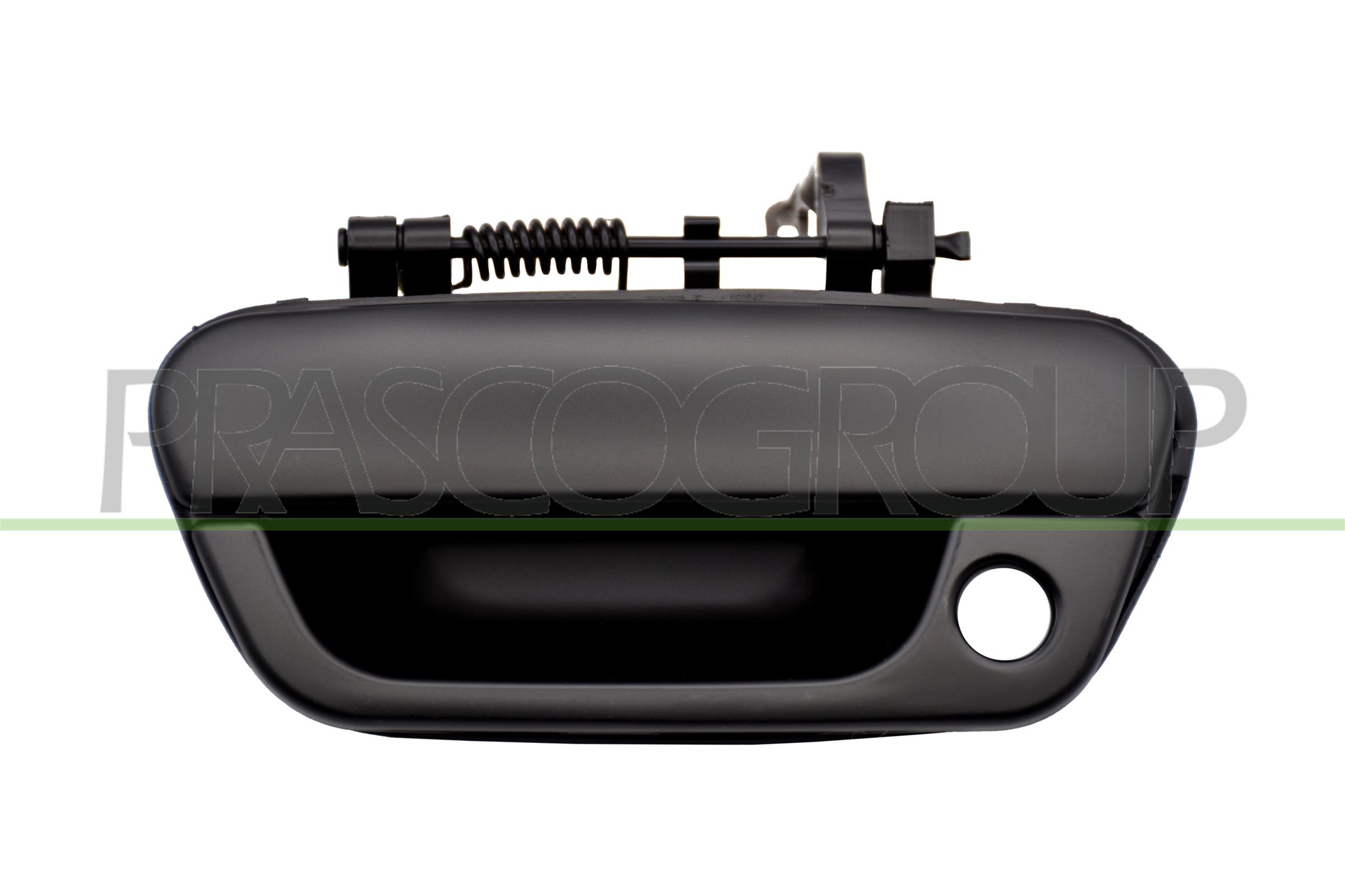 Maniglia apriporta PRASCO DW3408002