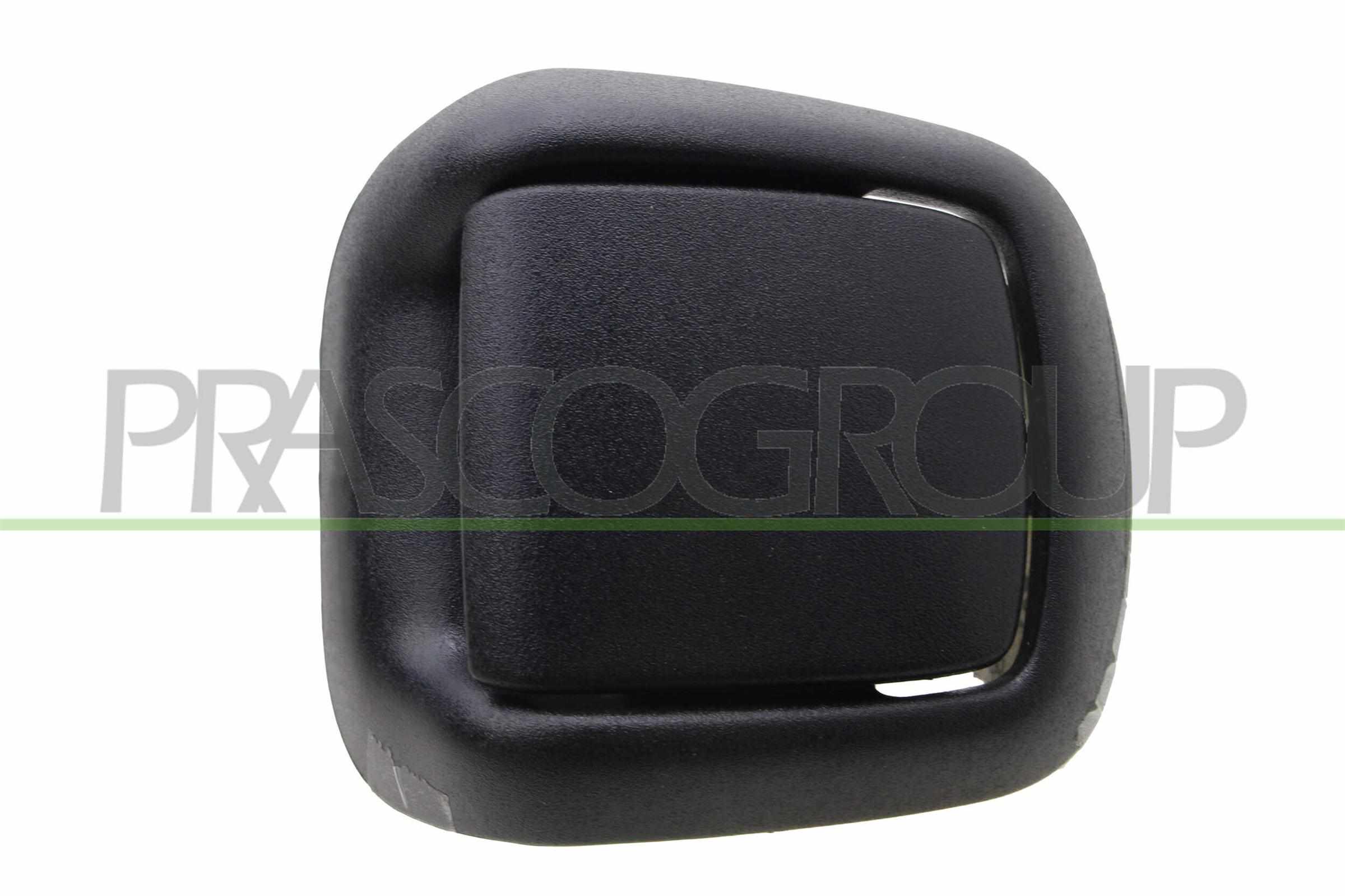 Maniglia portiera, equipaggiamento interno PRASCO FD3448403