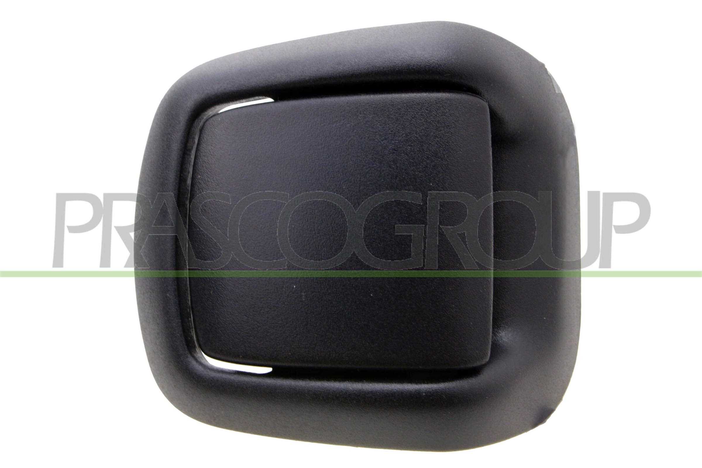 Maniglia portiera, equipaggiamento interno PRASCO FD3448404