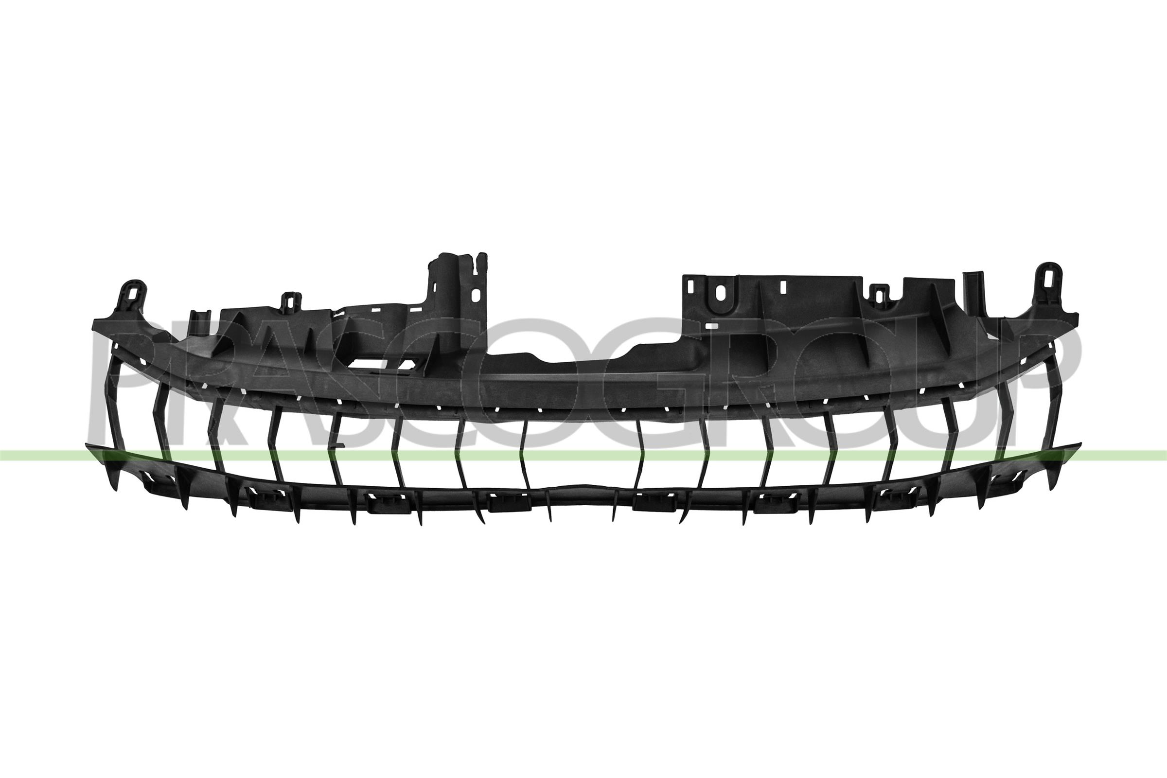Supporto, griglia radiatore PRASCO FD6202102