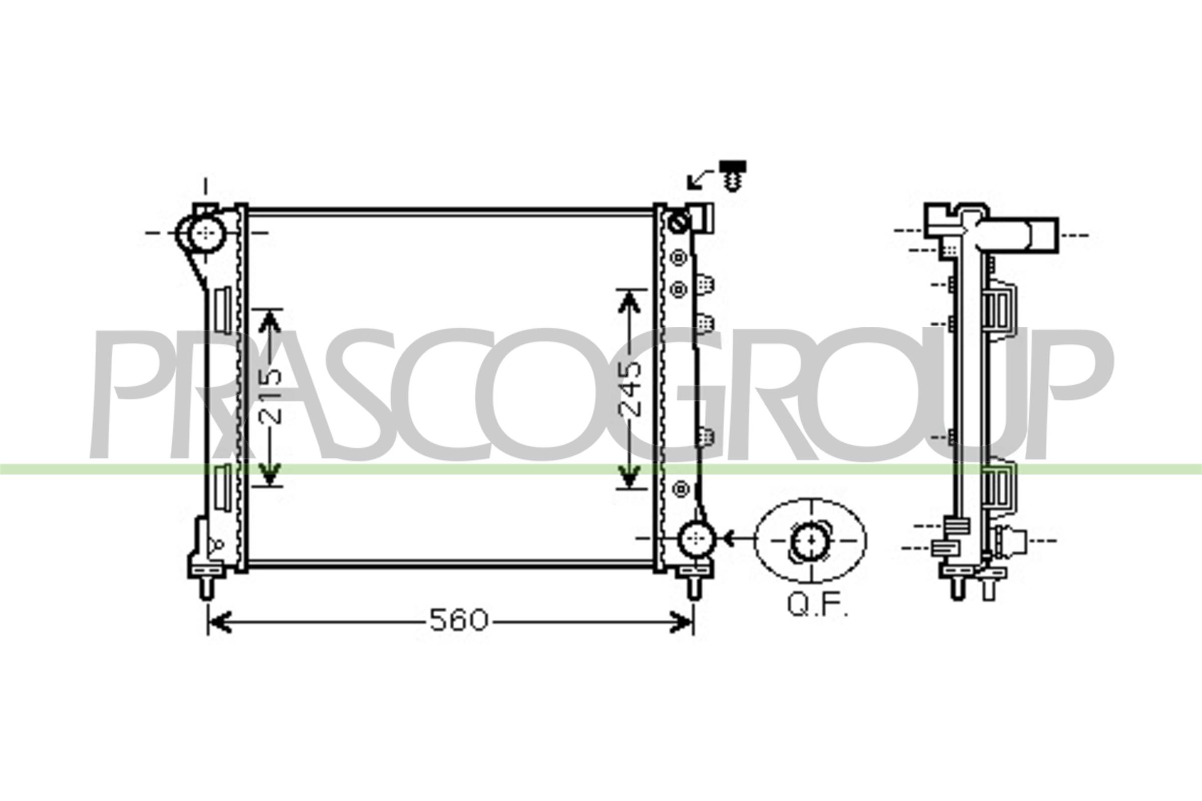 Radiatore, raffreddamento motore PRASCO FT124R002