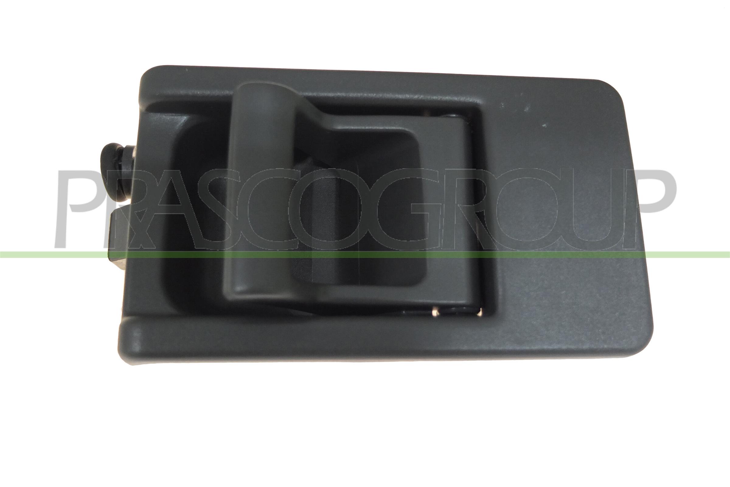 Maniglia portiera, equipaggiamento interno PRASCO FT9208501