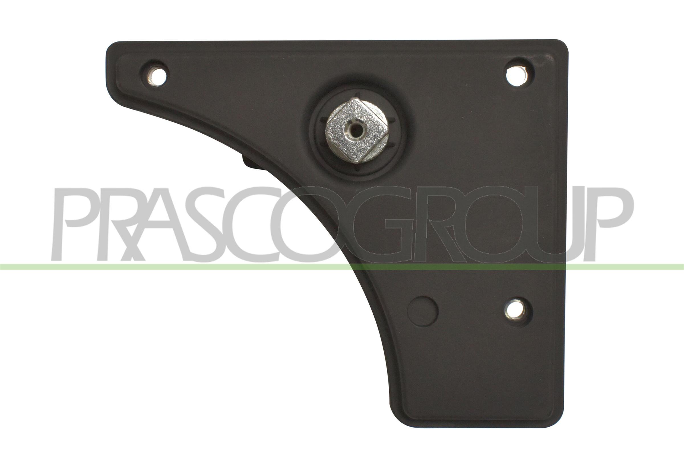 Maniglia portiera, equipaggiamento interno PRASCO FT9308312