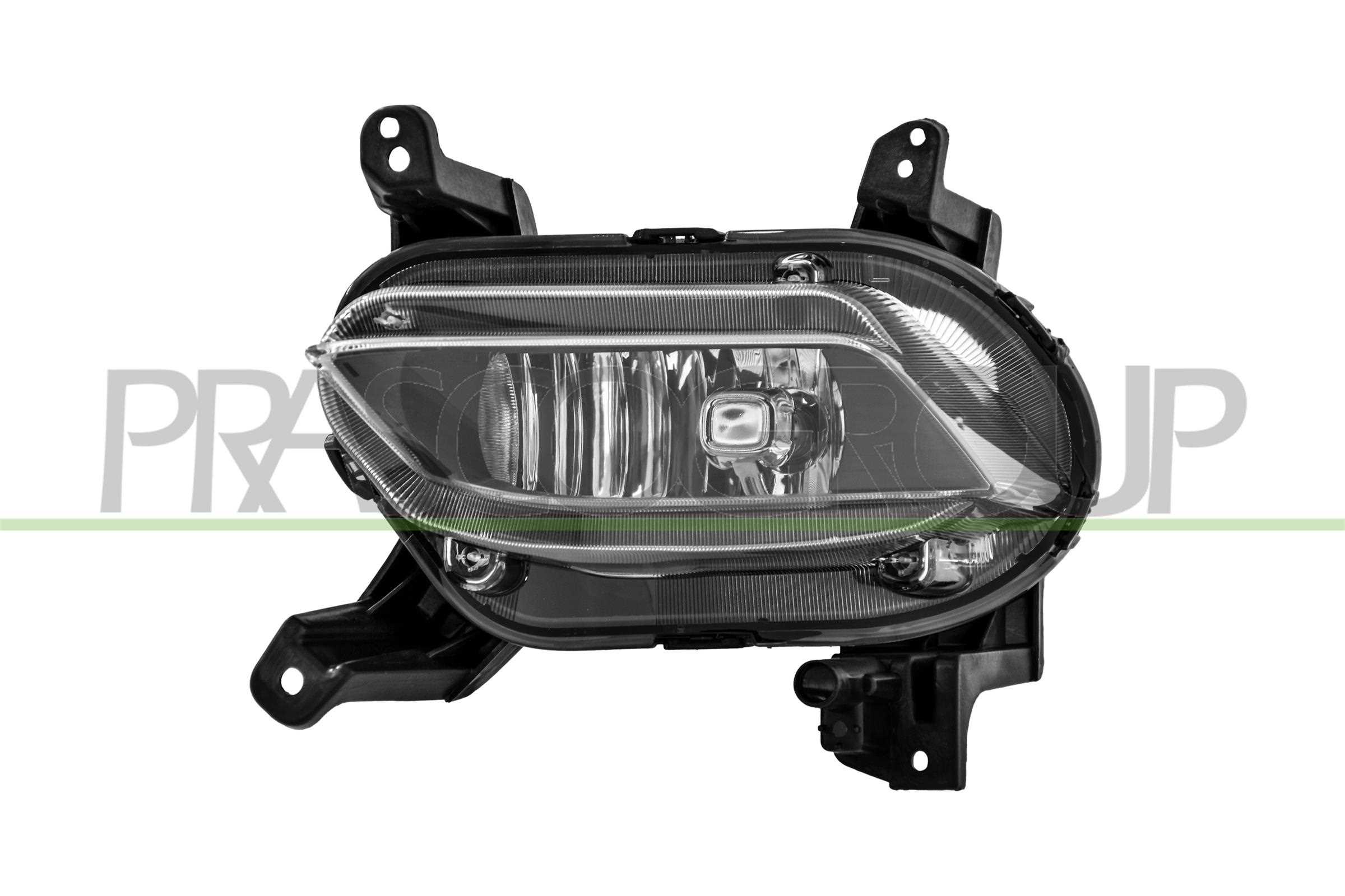 PRASCO FENDINEBBIA SINISTRO