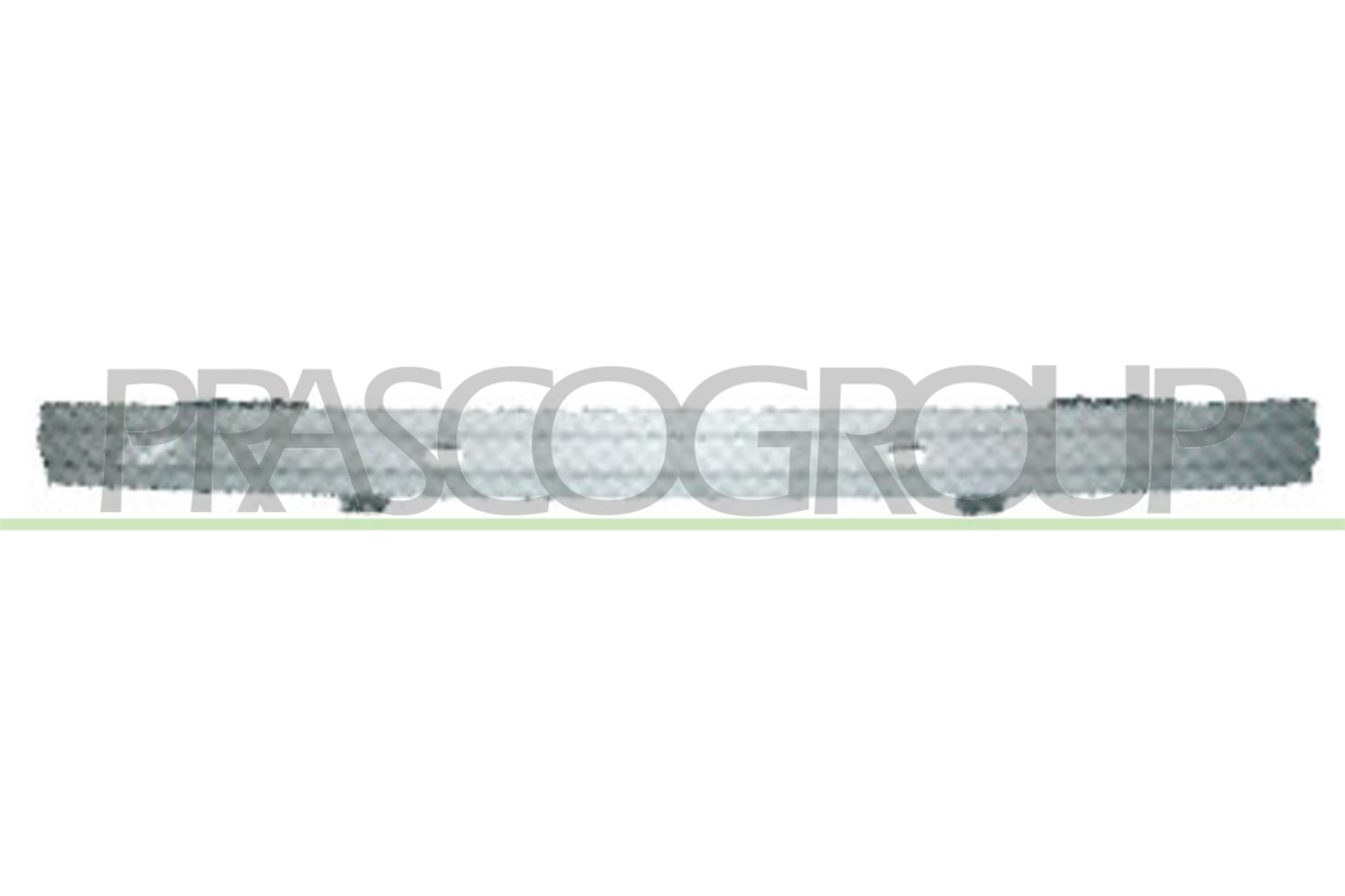 SUPPORTO, PARAURTI