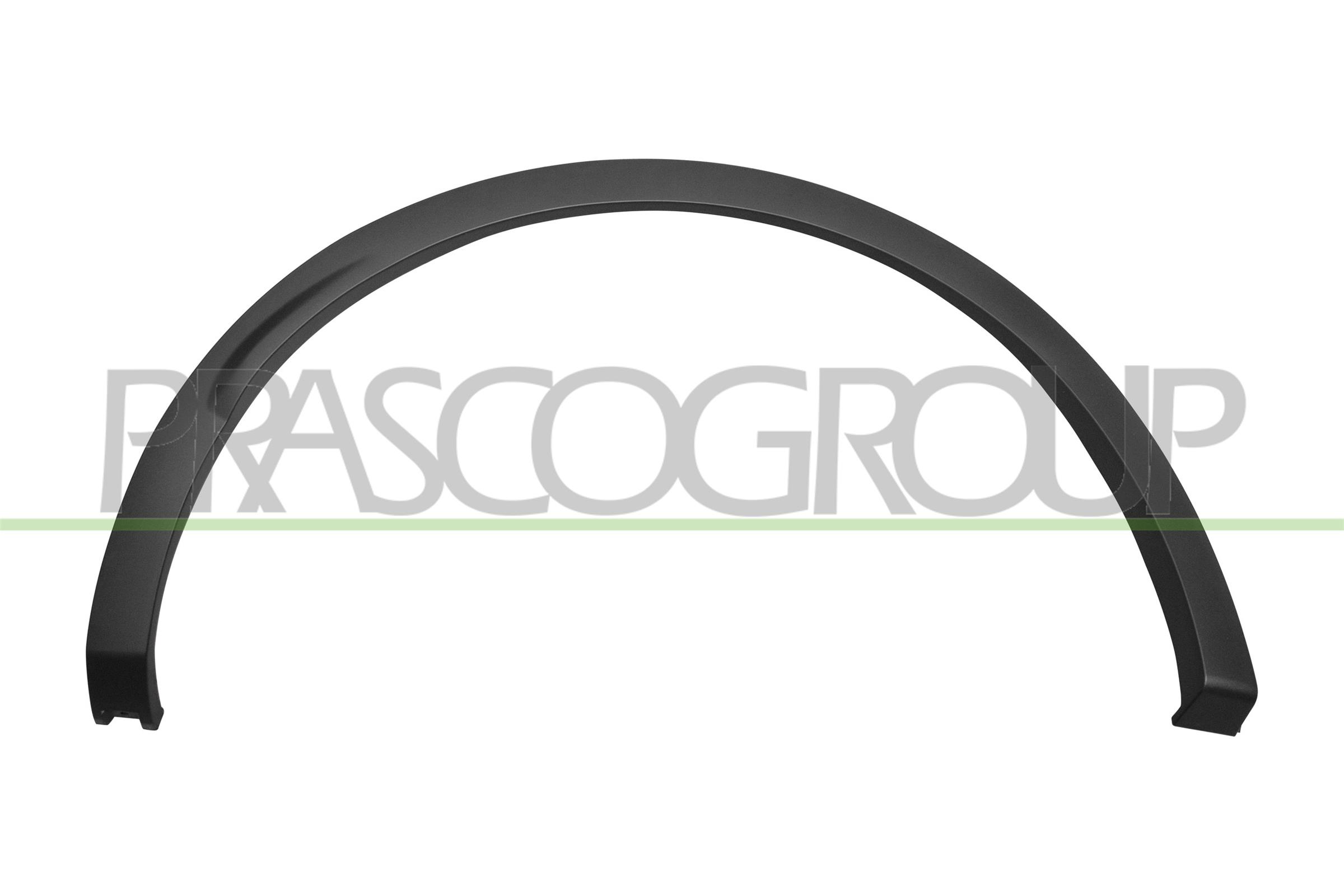 PARAFANGHINO POSTERIORE DESTRO-NERO/GOFFRATO