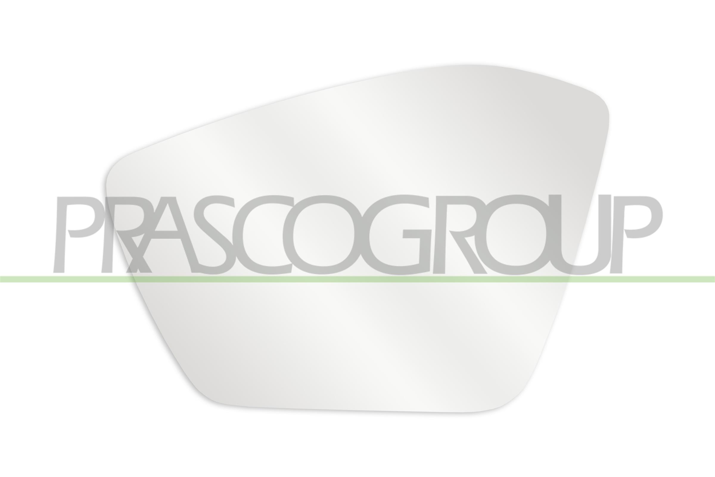PRASCO PIASTRA SPECCHIO SINISTRA TERMICA CONVESSA