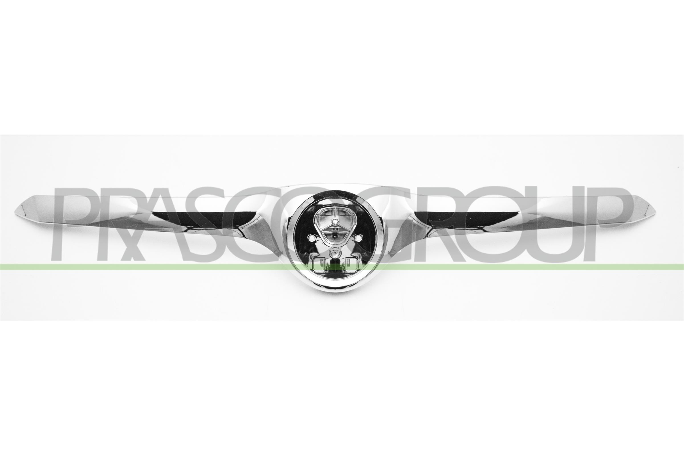 Emblema radiatore PRASCO SK4202206