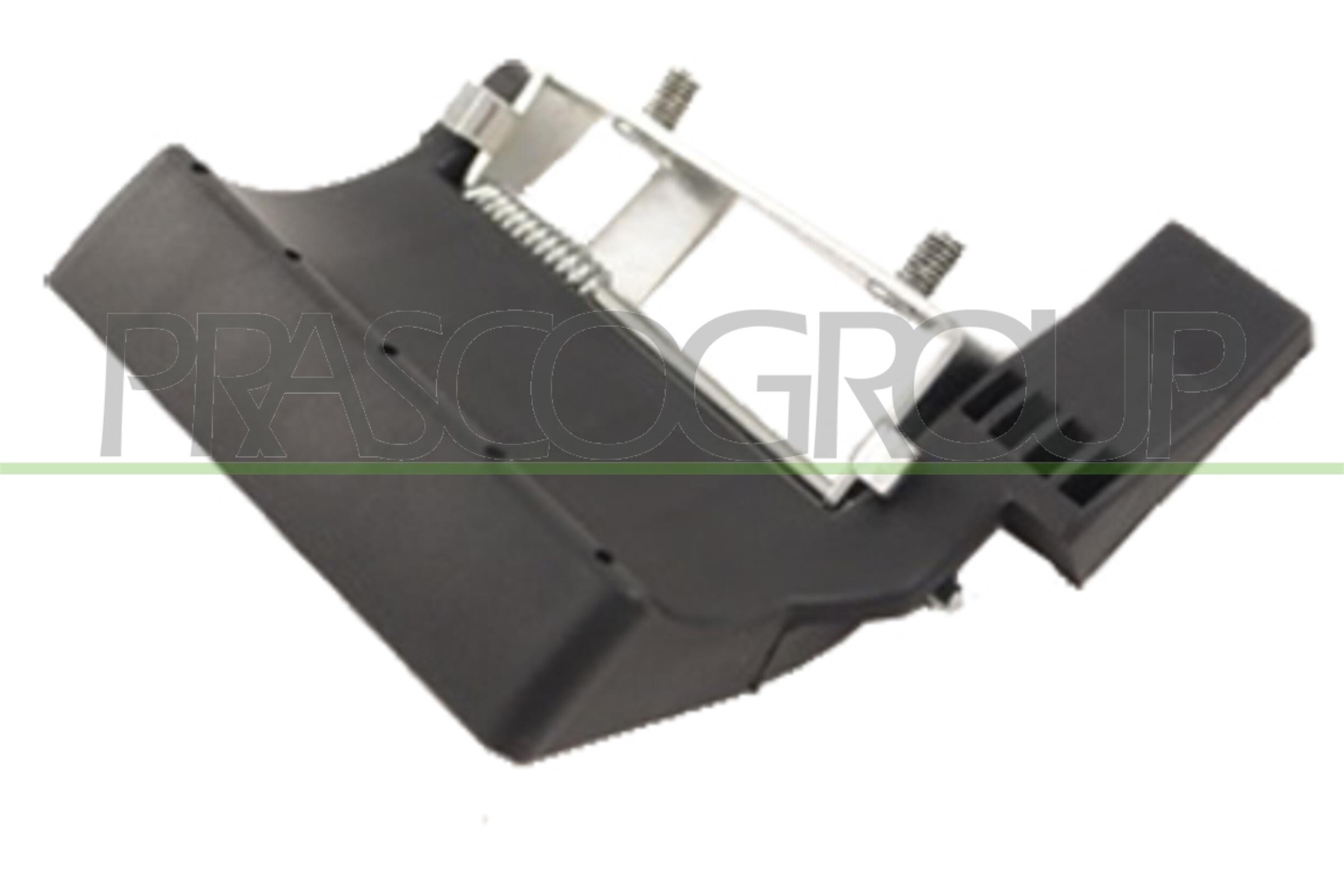 Maniglia portiera, equipaggiamento interno PRASCO SZ0548801